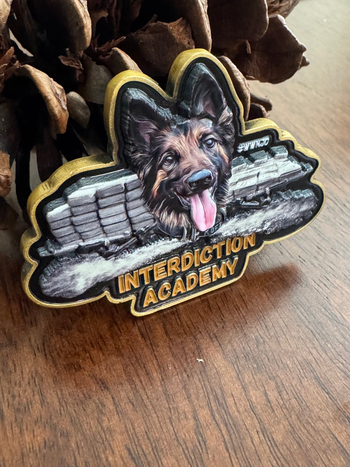 Coin - Interdiction Acadmey/SCT